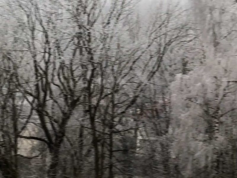 Frosted trees seen from a train window in Between Windows