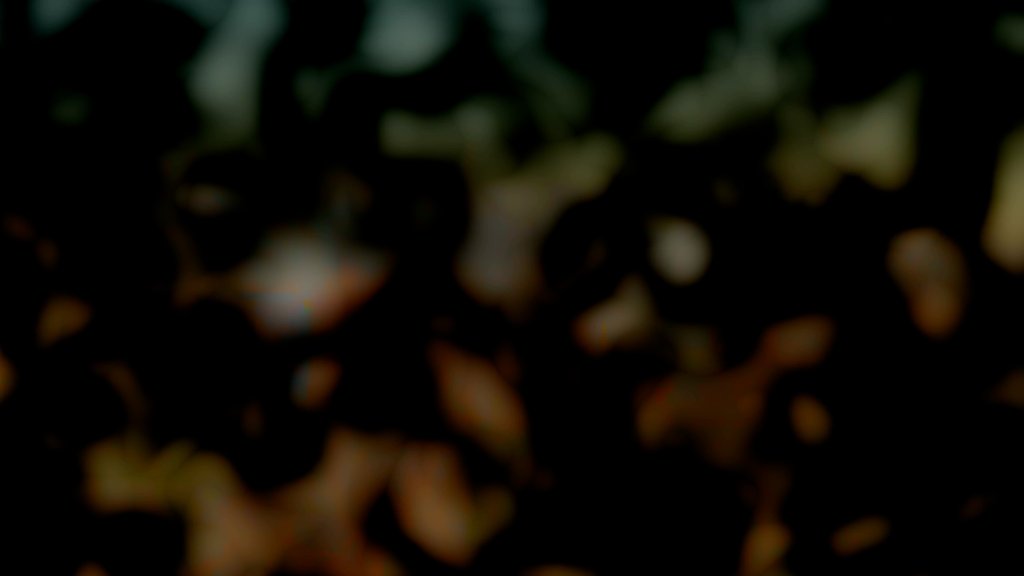 Abstract blurred leaves in darkness