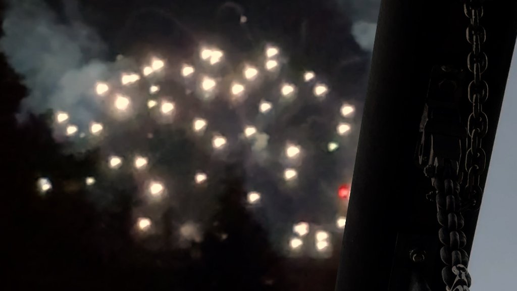 Bokeh lights through trees at night