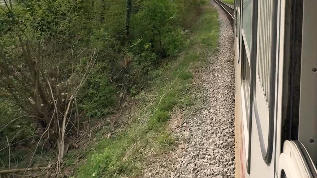 Train exterior alongside overgrown tracks